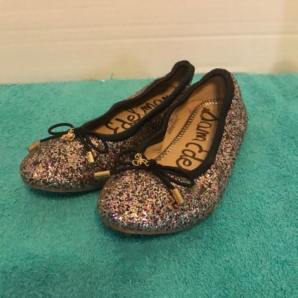 Sam Edelman Ballet Shoe 